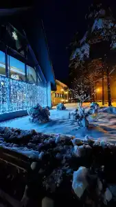 Шале Гринвуд - 48