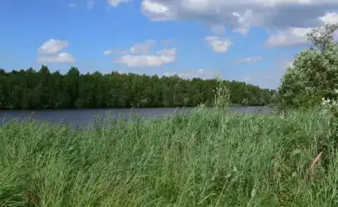 Лукоморье - 10