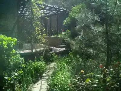 Замок грез - 8