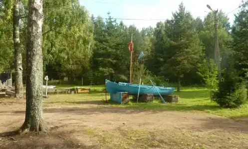 Динамо - 15
