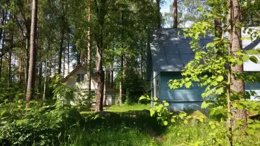 Холодный ручей - 17