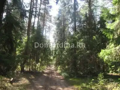 Красные крыши - 6