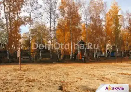 Родничок - 4