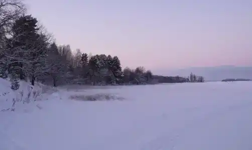 Остров - 40