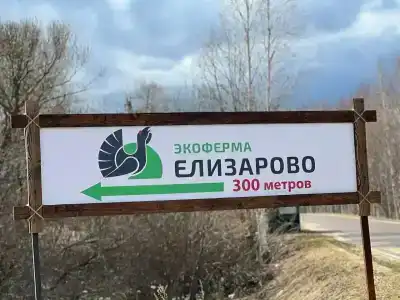 Елизарово - 72