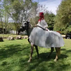 Анастасиевская - 19