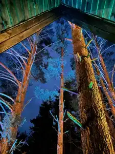 View Ga Волочаевка - 62