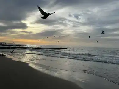 Балтийская Корона - 25