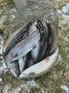 Ихтиолог - 80