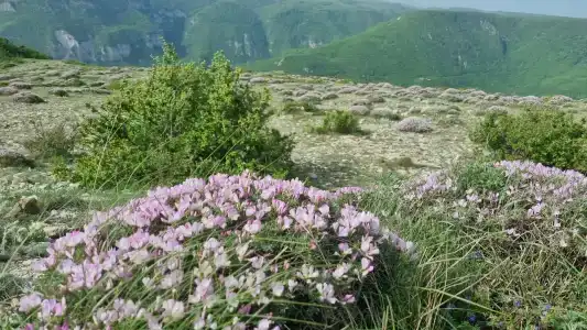 Сулакский Каньон - 22