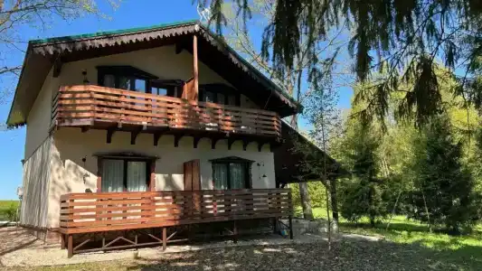 Елизарово - 1