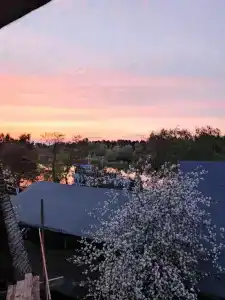 Панский сад - 65