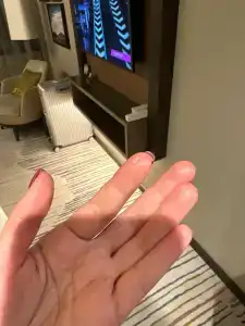 Sheraton Grand Tbilisi Metechi Palace - 59