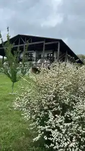 Shale Alpine House - 56