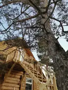 Маруся - 1