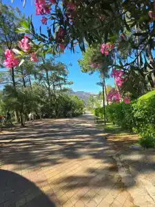 Orka Lotus Beach - 79