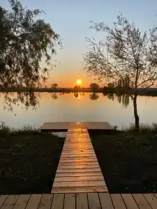 Фазенда - 11