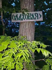 Ольховая - 8