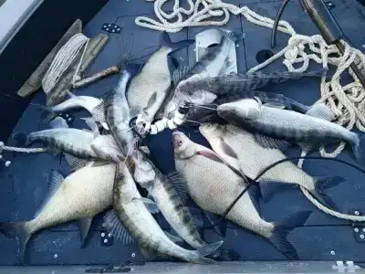 Клёвый берег - 8