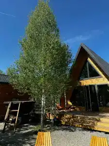 ZastavaVillage - 6