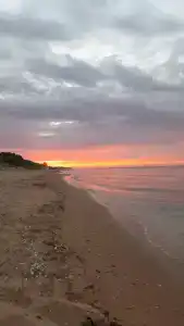 Белый Лотос - 78