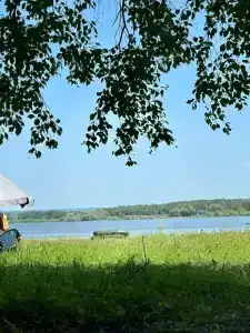 Березка - 36