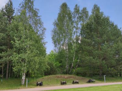 Лисья нора - 27