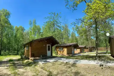 Подберёзовик - 41
