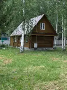 Чайка - 39