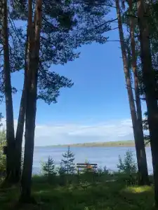 Медведчикова - 49