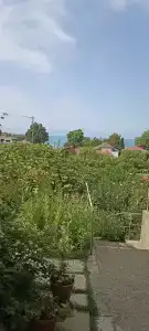 Усадьба Полуниной - 42
