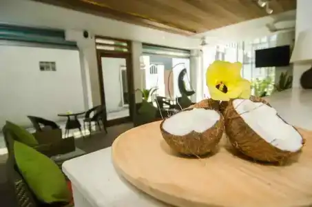 Coconut Tree Hulhuvilla Beach - 10