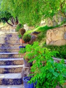 Park Avenue Yerevan - 18