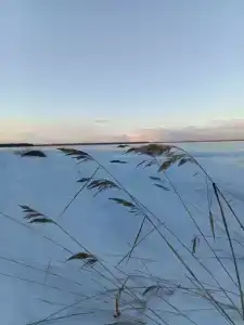 Мантиансаари - 38