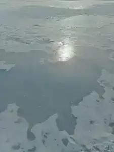 Мантиансаари - 51