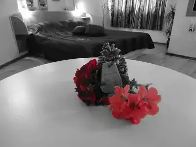 Color - 41