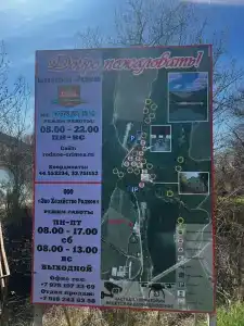 Родное - 99