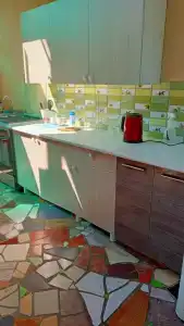 Дельфин - 1