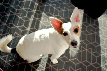 Hilton Dublin Kilmainham - 52