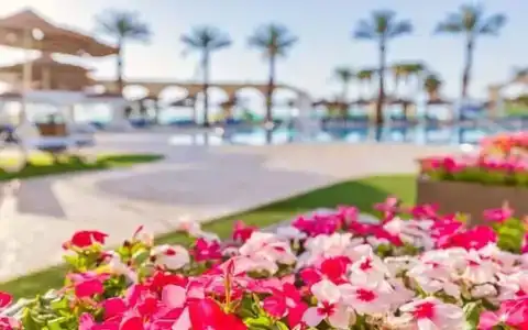 Daniel Dead Sea - 19