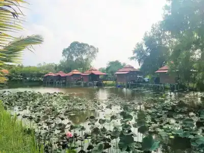 Sarocha Rayong - 5