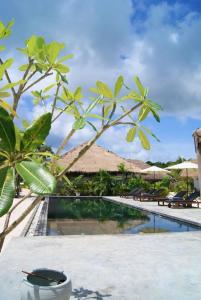 The Secret Garden Koh Rong - 24