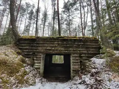 Селигерское заплавье - 51