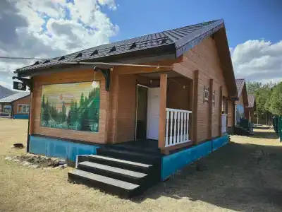 Литопур - 31