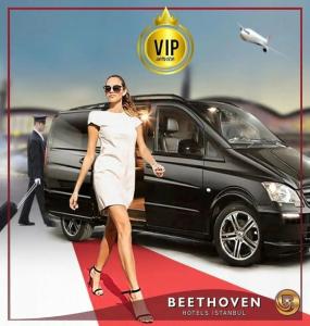 Beethoven - Special Category - 27