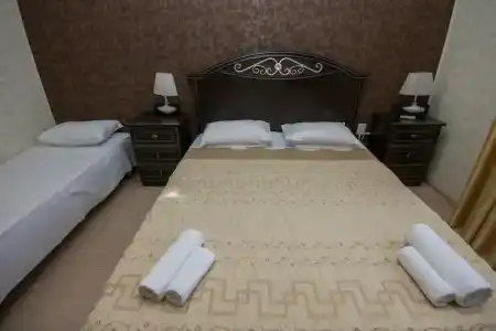 Виноград - 100