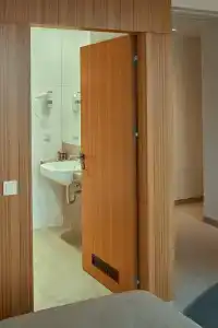Vytautas Mineral Spa - 8