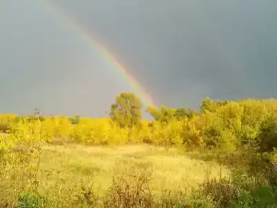Жили Были - 4