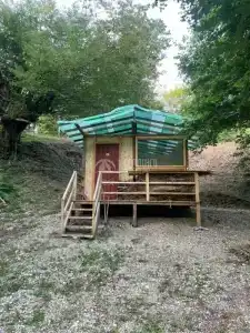 Бамбуковый двор - 0