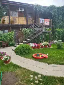 Алиса - 23